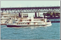 Lady Herron.jpg